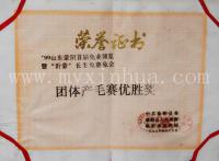 鑫华荣誉2