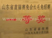 鑫华荣誉—一等奖