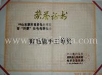 鑫华荣誉--400