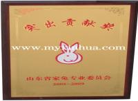 鑫华荣誉--突出贡献奖