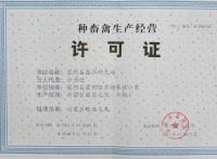 许可证
