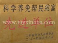 鑫华荣誉-先进单位